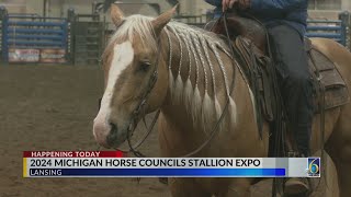 2024 Michigan Horse Expo [upl. by Atirahs]