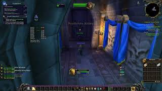 Wow Classic Paladin Speedrun in 11524 [upl. by Enirahtak]