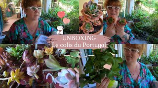 UNBOXING COLIS DU PORTUGAL🌵Je me suis envoyé à moimême des plantes de chez ma bellesoeur 💌 [upl. by Ahtis]