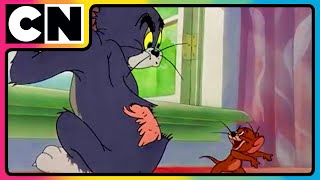 Tom amp Jerry 😺🐭  An Ode to Chaos  Nonstop Masti 🤩 Funny Chases 😆 Only on Cartoon Network [upl. by Nyloc]