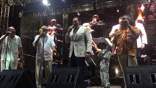 Conjunto Clásico con Tito Nieves quotSeñora Leyquot DNZ2019 [upl. by Idnal]