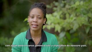 Casos de Acceso y Distribución de Beneficios y biodiversidad en el Caribe [upl. by Cr]