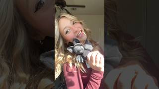 JELLYCAT BAT  shortvideo newhair jellycat [upl. by Akemot208]