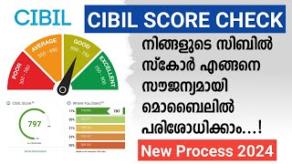 How to check your CIBIL score in online 5 minute with mobile  Google pay CIBIL scor check malayalam [upl. by Enair728]