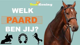 WELK PAARD PAST BIJ JOU  Doe deze test [upl. by Akila677]