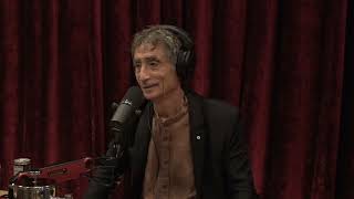 Joe Rogan Experience 1869  Dr Gabor Mate [upl. by Rizan]