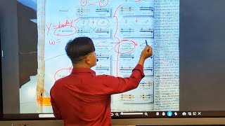 4 Minutes Complete Explanation Drosophila CrossLinkage [upl. by Salvatore502]