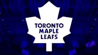 All 30 NHL Goals Horns in 30 Seconds 201415 [upl. by Hsihsa]