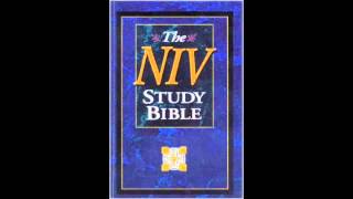 The Gospel of Matthew NIV Audio Bible Non Dramatized [upl. by Marler]