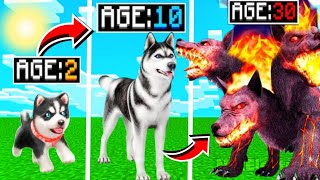 Playing Dog Life Simulator [upl. by Ashli]