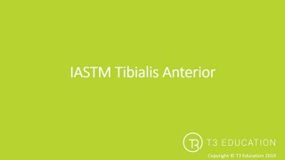 IASTM Tib Anterior [upl. by Nelia668]