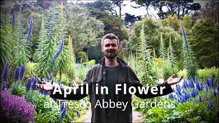 April in Flower at Tresco Abbey Gardens [upl. by Aliab811]