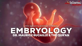 Embryology  The Quran amp Science Dr Maurice Bucaille [upl. by Rydder]