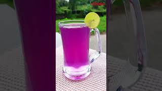 ആരോഗ്യം പകരും ബ്ലൂ ടീ  Blue Tea  Healthy recipes [upl. by Frymire]