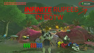 How to Get INFINITE Rupees in Breath of the Wild Infinite Rupee Glitch [upl. by Gunn]