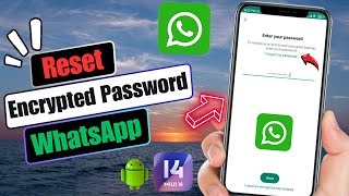 How To Reset Encrypted Password On WhatsApp  Recover WhatsApp Encrypted Password 2024 [upl. by Jerrilee]