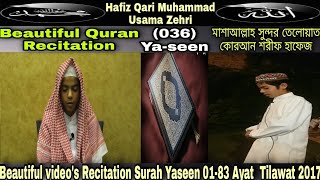 Quran Recitation Surah Yaseen Hafiz Qari Usama Zehri [upl. by Ridan]