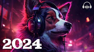 ❌Best Gaming Music 2024❌Top Music Mixer 2024 ♫ Best NCS Songs 2024 🎧 [upl. by Nanji]