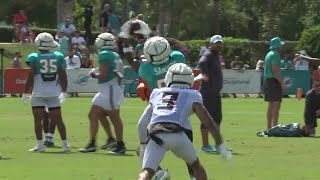 Miami Dolphins and Atlanta Falcons take field for first joint practice [upl. by Ayiram]