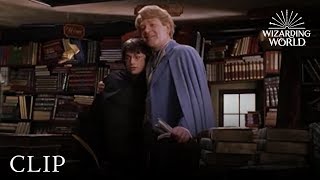 Gilderoy Lockhart  Harry Potter and the Chamber of Secrets [upl. by Komara]