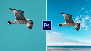 Master Image Cutouts in Photoshop – Step by Step Guide [upl. by Leohcin856]