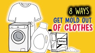 There Are 8 Easy Ways To Get Mold Out of Clothes [upl. by Anailil480]