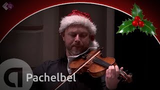 Pachelbel Canon en Gigue in D  Combattimento  Live concert HD [upl. by Alyal]