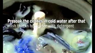 How to remove mold from clothes [upl. by Noivart113]