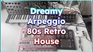 Electribe SX1  Behringer Crave  Korg MS20  Dreamy Apreggio 80s Retro House dawless [upl. by Gerge883]