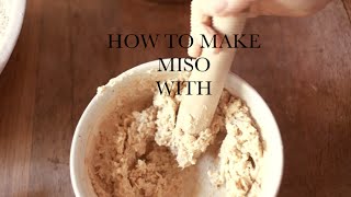 make your own miso with chickpea [upl. by Dincolo]