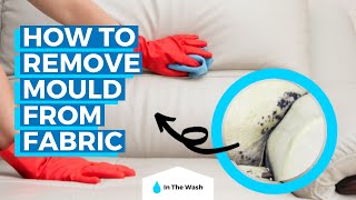 How to Remove Mould from Fabric [upl. by Pergrim]