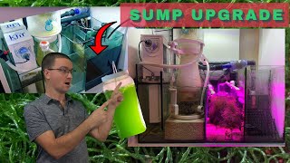 Sump Modification in the Waterbox 1104  Refugium Chamber Added [upl. by Enahpad230]