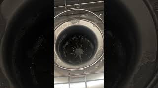 Struggling Moen Garbage disposal [upl. by Duncan966]