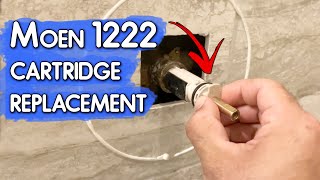 How to Replace Moen 1222 Shower Cartridge [upl. by Okikuy]