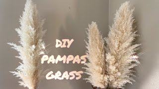 DIY PAMPAS GRASS THAT WON’T SHED [upl. by Daniella]