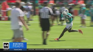 Miami Dolphins hold first joint practice with Atlanta Falcons [upl. by Karen]