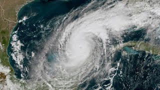 Here amp Now Wed Oct 9 2024  Newfoundlanders in Florida prepare for Hurricane Milton [upl. by Margherita]