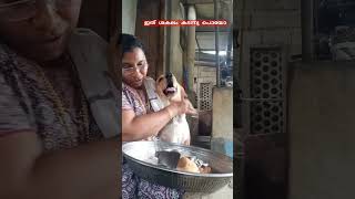 labrador doglover അതികപ്രസംഗമായോ [upl. by Abeu]