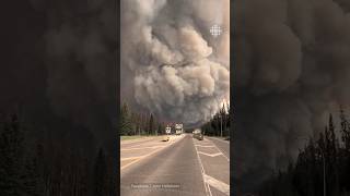 Les feux de forêt détruisent en partie Jasper [upl. by Kellen780]