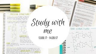 Study With Me 1  studytee [upl. by Novit]