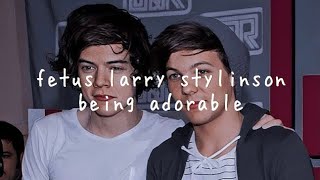 fetus larry stylinson being adorable for 20 minutes straight [upl. by Lessirg21]