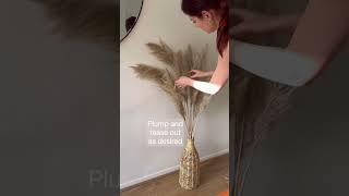 How to plump your pampas pampasgrass plumpyourpampas homedecor [upl. by Jeminah]