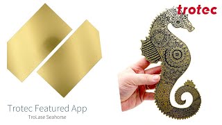 Trotec Featured Laser App TroLase Seahorse [upl. by Groome]