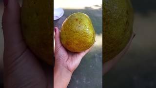 Pomelo fruit pomelofruit shortvideo ytshorts [upl. by Klotz474]