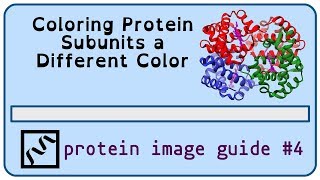 Protein Structure Imaging 4 coloring the subunits of hemoglobin [upl. by Cecilius26]