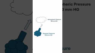 Alveolar Pressure Quick Explanation [upl. by Sholes]