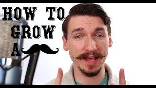 How To Grow and Style a Handlebar Mustache  A Tutorial  Matt Tastic [upl. by Aysa394]