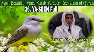 Most Beautiful Quran Recitation Surah Yaseen Hafiz Qari Usama Zehri [upl. by Schafer156]