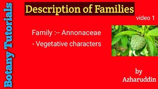 Annonaceae family vegetative characterspart1 [upl. by Mccreary]