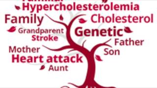 Familial Hypercholesterolemia [upl. by Adnertal]